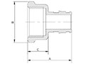 Brass Female Adapter - Dimensions